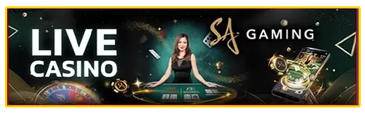 SA GAMING by g2gบาคาร่า